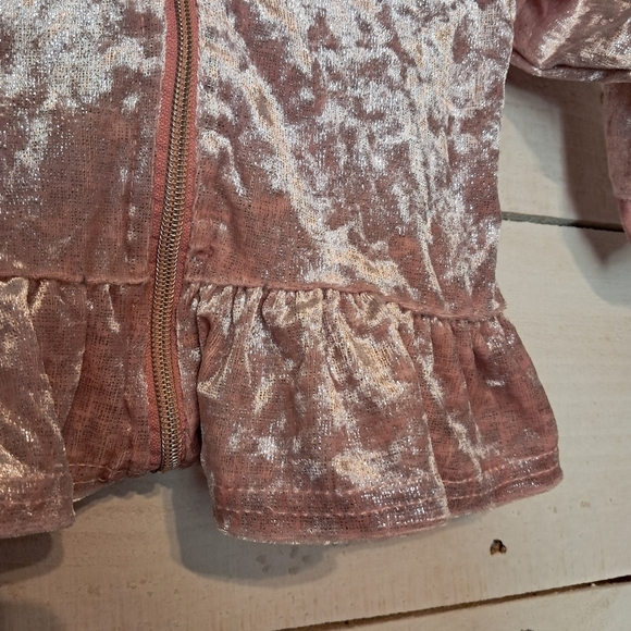 Vince Camuto Pink Velvet Toddler Jacket Size 18 Months - Picture 4 of 6